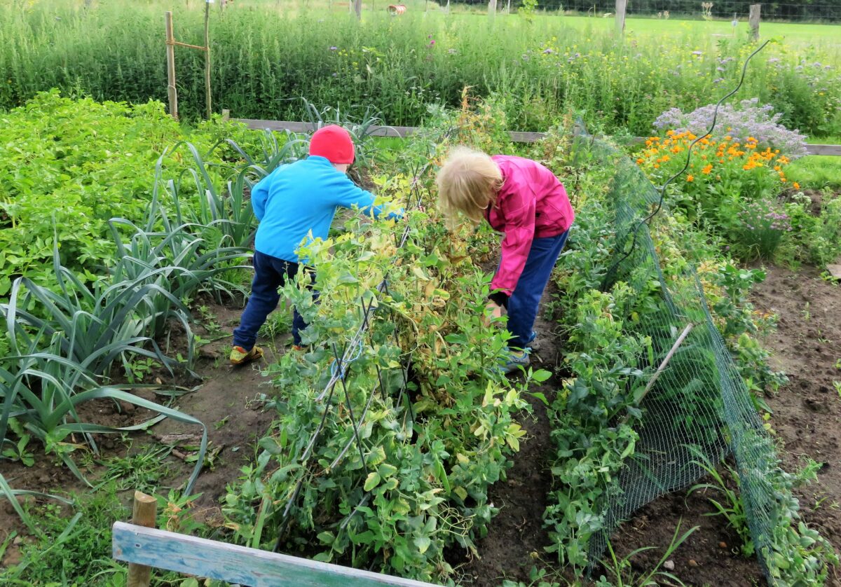 KinderGarten Hunden - Hoth-Stiftung